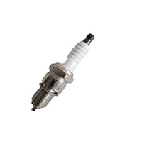 90919-01091 Pièce de moteur à essence en nickel W16EXR-U11, filetage M14x1.25, pour Land Cruiser 1991-1993 (1 an de garantie)