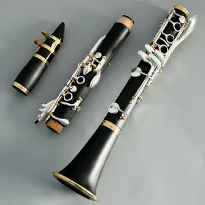 Khác Nhau bán sỉ OEM BB một C G Bass Clarinet thấp E thấp C ABS Bakelite gỗ mun gỗ hồng mộc Clarinet