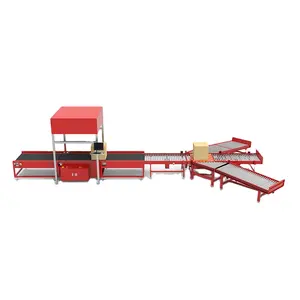 GOSUNM Dws Sorting Conveyor System/Sorter Conveying Machine For Postal/express Courier Logistic Warehouse Diverting Packages