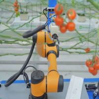 Robot collaboratif AUBO avec bras robotique pour la livraison en ferme et la cueillette des fleurs dans les vergers