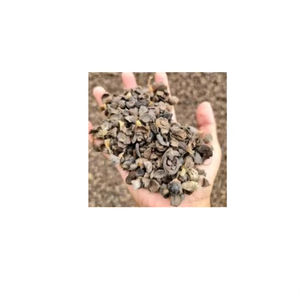 ทางเลือกที่ดีสำหรับพลังงานชีวมวลราคาถูกเปลือกเมล็ดปาล์มสะอาดในปริมาณมากสำหรับการผลิต - Product Image 3