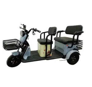 Seguridad y triciclo eléctrico popular Bicicleta eléctrica de 3 ruedas con cubierta triciclos eléctricos