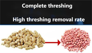 เครื่องกะเทาะเปลือกถั่วลิสงราคาดี เครื่องกะเทาะเมล็ดถั่วลิสงขนาดเล็ก เครื่องกะเทาะเปลือกถั่วลิสงสำหรับขาย - Product Image 6