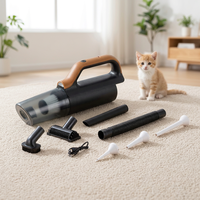 Aspirateur sans fil, aspirateur portatif léger, mini aspirateur sans fil pour voiture, pour poils d'animaux, maison