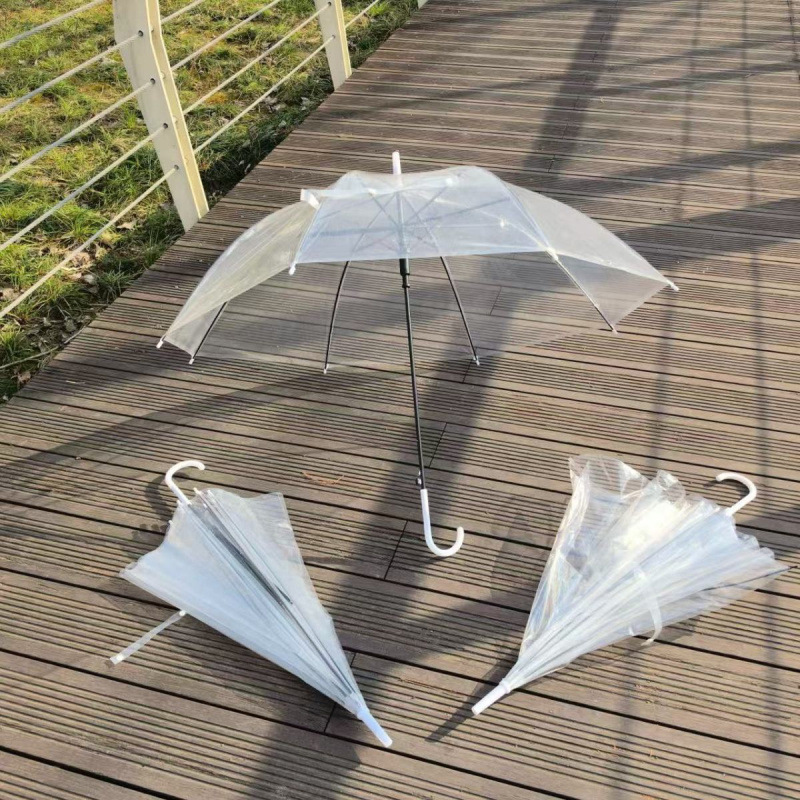 Minuit - Parapluie Transparent - Prix Dégressifs Carnaval