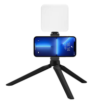 Mini panneau LED portable pour éclairage vidéo et photo, idéal pour embellir les jambes, avec fonction audio et vidéo intégrée