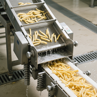 Hoge Kwaliteit Kleinschalige Volautomatische Aardappel Cassave Meel Chips Maken Machine Vers Bevroren Frietjes Lijn 100-1000 Kg/u