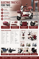 Tricycle Électrique Familial en Gros, Autonomie 70 km, Batterie Plomb-Acide 60V32AH, Moteur 1000W, Vélo Électrique Adulte, Scooter Tricycle à 3 Roues
