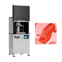 Imprimante 3D de chaussures DLP à vitesse ultra-élevée et à ultra-précision avec une vitesse d'impression de 3 à 6 s/couche, fonctionnement automatique Vnici RayForm400D