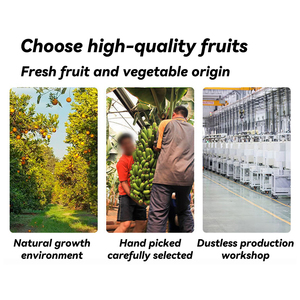 Nouveauté : Mélange de fruits et légumes séchés salés en vrac, 150g, prêts à consommer, expédition mondiale - Product Image 4