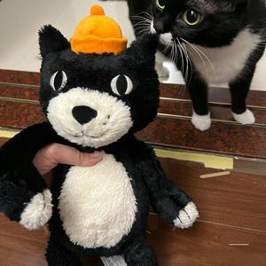 Peluche chat noir super douce style gelée, inspirée du Royaume-Uni, mignonne et câline, cadeau pour elle, Saint-Valentin, anniversaire - Product Image 4