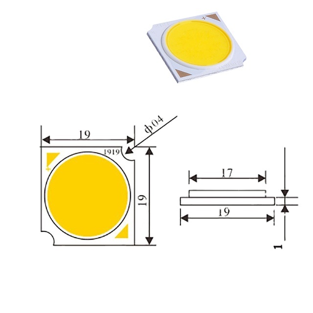 1919 High Power COB White 12w 15w 20w 24w 30w LED Chip Diode Outdoor Light