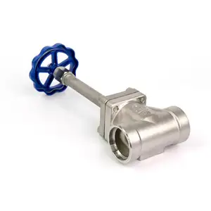 4.0 MPa DJ-50(G) Suitable Media LNG L02 LN2 LAr cryogenic globe valve weld joint
