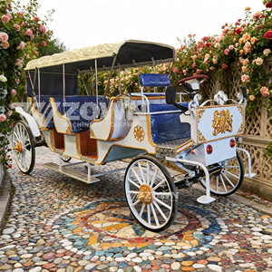 Voiture électrique royale multi-passagers blanche et bleue avec emblème doré pour les excursions panoramiques des châteaux - Product Image 5