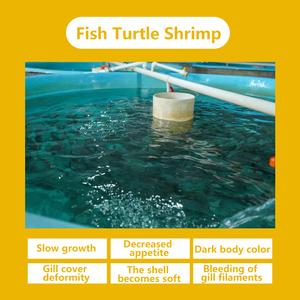 Khoa học vitamin B pha trộn cho Lợn Gia cầm gia súc thức ăn phụ gia để sửa chữa trao đổi chất & sức khỏe thiếu hụt - Product Image 5