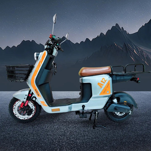 Vélo de livraison vintage haute qualité 1200W longue portée pour adultes AS-ECY20129-A12 - Product Image 2