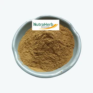 Mycelium Cordyceps Polysaccharide 10% Cordyceps Powder Mushroom Extract Organic Cordyceps Sinensis Extract