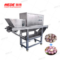 Commerciële 400 kg/uur roestvrijstalen elektrische automatische ketting-aangedreven knoflook-, fruit- en groenteschilmachine met pomp