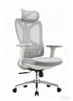 Silla Ejecutiva Ergonómica Moderna de Alta Calidad, Todo en Uno, para Personal Administrativo