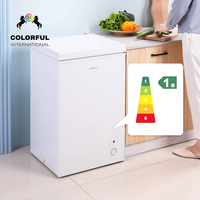 Réfrigérateur portable haute performance à prix de gros, mini-congélateur avec compresseur