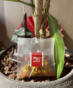 Bolsitas de Té Plegables Invertidas de PLA a Granel, Bolsitas de Té Vacías Biodegradables de Grado Alimenticio para el Hogar y la Tienda - Product Image 2