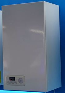 غلاية معلقة على الحائط بالغاز فعالة من حيث التكلفة مع تشطيب أنيق - Product Image 3