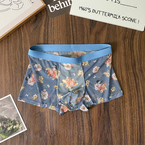 Vente chaude coloré élastique maille pleine dentelle slip Sissy <span class=keywords><strong>culotte</strong></span> Gay garçons <span class=keywords><strong>en</strong></span> caleçon hommes Boxer slips - Product Image 2