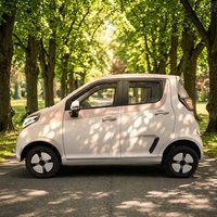 Nouvelle Voiture Électrique Mini 4 Places à Basse Vitesse, EV 5 Portes, Hayon Fermé, Cabine Fermée, Usage Domestique, 4 Roues, Autonomie 101-200km
