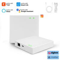 Passerelle Wi-Fi filaire en plastique Golden Security Tuya Matter, compatible avec Google Assistant, pour kit maison intelligente, hôtel, garage, bar