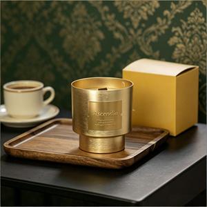Bougie parfumée Ascendia en cire de soja, pot en métal, parfum boisé, aromathérapie, décoration d'intérieur, cylindre de luxe, 1 mèche - Product Image 1