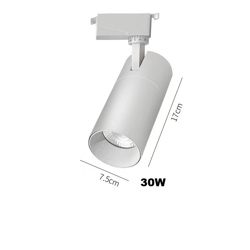 30W Blanc