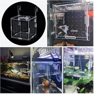 Caja acrílica de cría de peces, caja de aislamiento de cría de acuario para pecera, incubadora de incubadora para camarones, Guppy, pez payaso, peces pequeños - Product Image 5