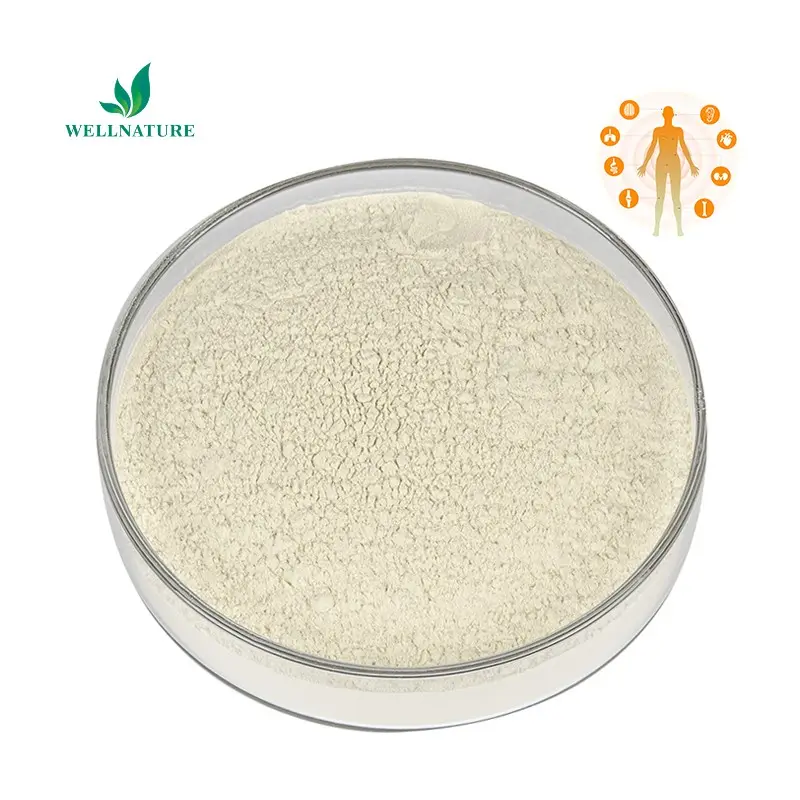 Whey Protein WPI 90% معزول بروتين مصل الحليب WPC 80% مسحوق بروتين مصل الحليب المركز