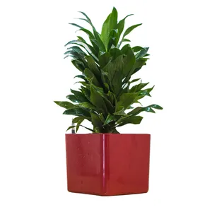 Bán Buôn Kỳ Lạ Đám Mây Fancy Quảng Trường Nhựa Tráng Men Sợi Thủy Tinh Planter Phẳng Flower Pot Vase Cho Hoa Cây Xanh