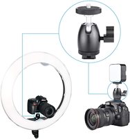Fotografía 360 Giratorio Mini Ball Head 1/4 "Rosca con Adaptador de Zapata para Cámara, Luz LED, Monitor, Video y Videocámaras