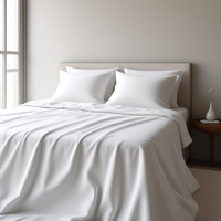 Vente en gros de draps de lit modernes en microfibre OEKO-TEX, ensemble de drap-housse et taie d'oreiller tissés doux et respirants