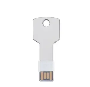 Benutzer definierte Großhandel Key Stick USB-Flash-Laufwerk 4GB 8GB 16GB 32GB 64GB Pen Drive USB 2.0 3.0 Stick USB-Stick USB-Flash-USB-Stick für den Einzelhandel