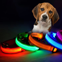 Collier pour chien en nylon LED, collier de sécurité nocturne clignotant, collier fluorescent pour chien, collier lumineux pour animaux de compagnie, accessoires pour animaux de compagnie, code QR
