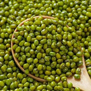 ถั่วเขียวเขียวเม็ดเต็ม ออร์แกนิคธรรมชาติ สำหรับทำอาหารและเพาะต้นอ่อน - Product Image 3