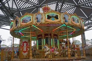 <strong>24</strong> <strong>Seats</strong> <strong>Carousel</strong> - Product Image 5