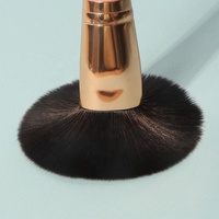ZH Mini Kit de 10 Pinceaux de Maquillage Rose Portable, Doux, Végétaliens, à Poils Synthétiques, Sans Cruauté Animale, pour le Visage et le Correcteur