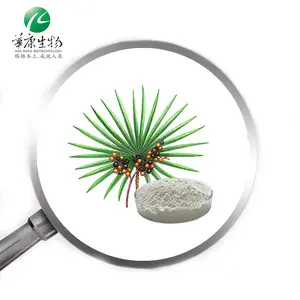 ISO 제조 업체 도매 톱 Palmetto 분말 추출물 25% 45%