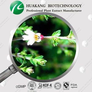 Thảo dược tự nhiên euphrasia officinalis chiết xuất 10:1 20:1 50:1 eyebright chiết xuất bột - Product Image 5