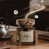 Nouveau design de désodorisant de luxe pour voiture, parfum d'ambiance frais, diffuseur d'aromathérapie sans flamme pour la maison et la décoration d'hôtel