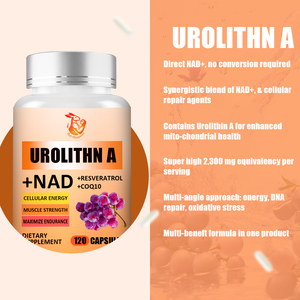 Capsules de Urolithin A NAD à marque privée avec extrait de pépins de raisin, pterostilbène, capsules de complément alimentaire végétalien complexe de Urolithin A - Product Image 2