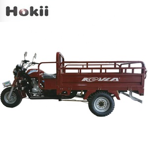 Tricycle à trois roues à vendre Malaisie Moteur De <span class=keywords><strong>Moto</strong></span> Tricycle Tricycles hybrides <span class=keywords><strong>Cargo</strong></span> - Product Image 4