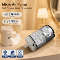 Personnalisable 3L Mini pompe à diaphragme électrique OEM Compresseur d'air pour appareils de beauté