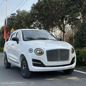 Véhicules électriques <span class=keywords><strong>de</strong></span> fabrication chinoise à prix attractifs, <span class=keywords><strong>vente</strong></span> <span class=keywords><strong>de</strong></span> petites voitures, véhicules électriques à basse vitesse - Product Image 5