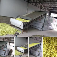 Warmtepomp Hout Groente Champignon Ui Biltong Vis Voedsel Fruit Droger Machine