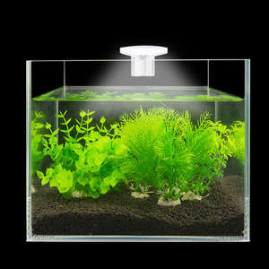 Ast m3 luz de led para aquários, luz em oferta, tanque de peixes, coral, planta marinha, iluminação de led, 5w - Product Image 5